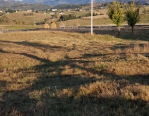 Telek eladó on Marisel