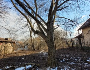 Telek eladó on Cluj-napoca, Zóna Andrei Muresanu