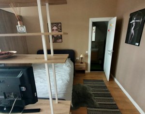 Appartement 1 chambres à louer dans Floresti