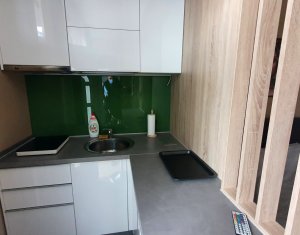 Appartement 1 chambres à louer dans Floresti