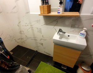 Appartement 1 chambres à louer dans Floresti