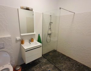 Appartement 1 chambres à louer dans Floresti