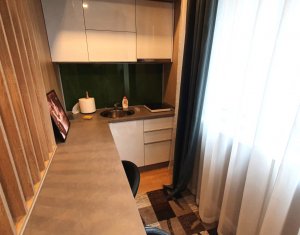 Appartement 1 chambres à louer dans Floresti