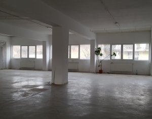 Spatiu productie, depozit, showroom 380mp, curte, parcari, blvd Muncii 