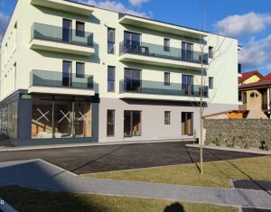 Appartement 2 chambres à louer dans Floresti