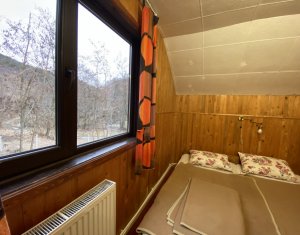 Maisons de vacances à vendre dans Dealu Mare