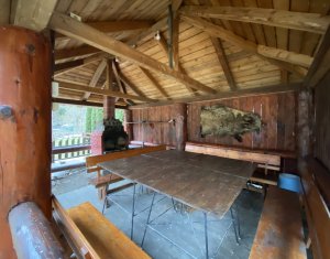 Maisons de vacances à vendre dans Dealu Mare