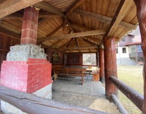 Maisons de vacances à vendre dans Dealu Mare