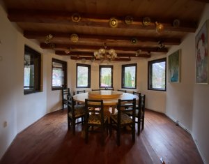 Maisons de vacances à vendre dans Dealu Mare