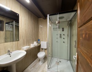 Maisons de vacances à vendre dans Dealu Mare