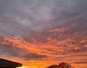 Maison 5 chambres à vendre dans Cluj-napoca, zone Dambul Rotund