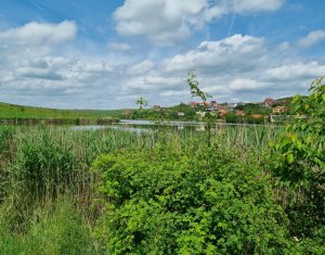 Ház 4 szobák eladó on Chinteni