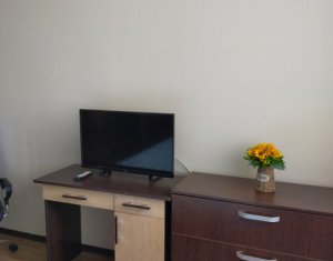 Appartement 1 chambres à louer dans Cluj-napoca, zone Centru