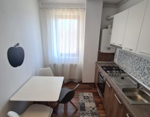 Lakás 2 szobák kiadó on Cluj-napoca, Zóna Dambul Rotund