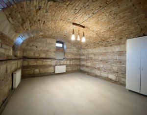 Maison 4 chambres à louer dans Cluj-napoca, zone Centru