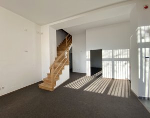 Maison 4 chambres à louer dans Cluj-napoca, zone Centru