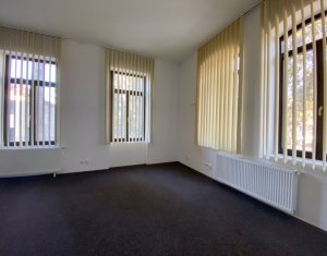 Maison 4 chambres à louer dans Cluj-napoca, zone Centru