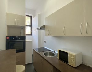 Maison 4 chambres à louer dans Cluj-napoca, zone Centru