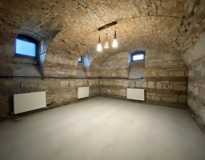 Maison 4 chambres à louer dans Cluj-napoca, zone Centru