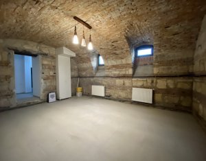 Maison 4 chambres à louer dans Cluj-napoca, zone Centru