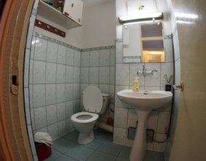 Appartement 3 chambres à louer dans Cluj-napoca, zone Plopilor