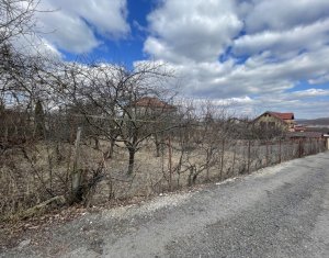 , 472m2 on Cluj-napoca, Zóna Borhanci