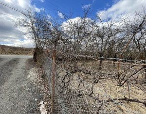 Terrain à vendre dans Cluj-napoca, zone Borhanci
