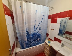 Appartement 2 chambres à louer dans Baciu