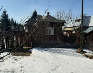 Ház 3 szobák eladó on Belis