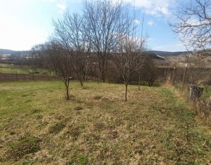 Ház 4 szobák eladó on Baciu, Zóna Centru