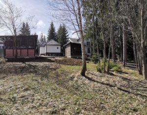 Ház 2 szobák eladó on Belis, Zóna Centru