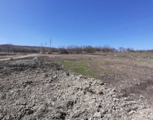 , 1200m2 on Cluj-napoca