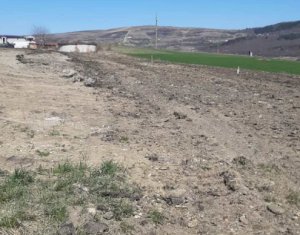 Telek eladó on Cluj-napoca