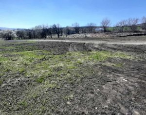 Telek eladó on Cluj-napoca