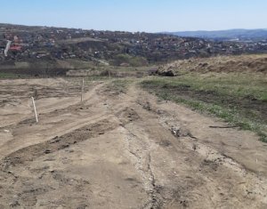 , 612m2 on Cluj-napoca