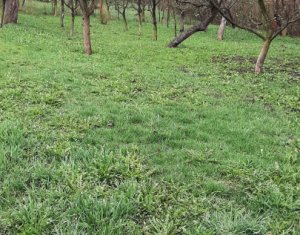 , 50m2 on Cluj-napoca, Zóna Sopor