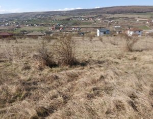 , 545m2 dans Chinteni