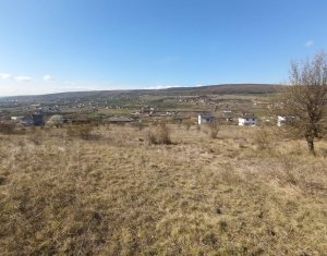 Terrain à vendre dans Chinteni