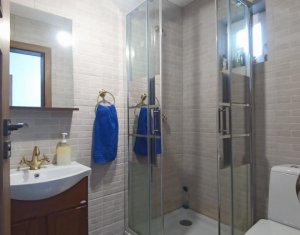 Maison 4 chambres à vendre dans Apahida