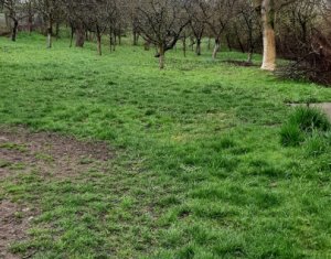 , 1021m2 dans Cluj-napoca, zone Sopor