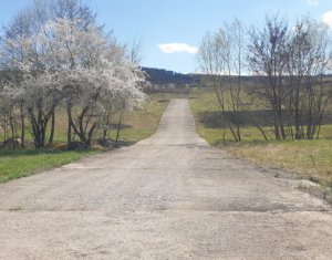 , 1292m2 dans Cluj-napoca, zone Borhanci