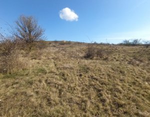 , 1000m2 dans Chinteni