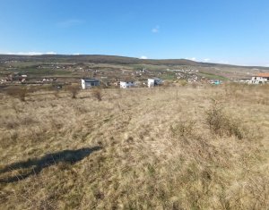 Terrain à vendre dans Chinteni