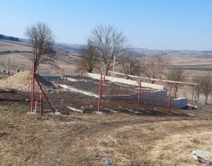 , 500m2 on Salistea Noua