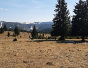 Maison  chambres à vendre dans Belis