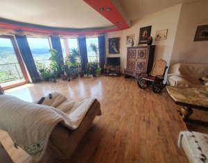 Maison 5 chambres à vendre dans Cluj-napoca, zone Dambul Rotund