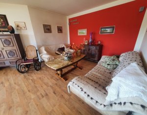 Maison 5 chambres à vendre dans Cluj-napoca, zone Dambul Rotund