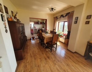 Maison 5 chambres à vendre dans Cluj-napoca, zone Dambul Rotund