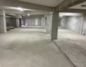 Industrial space for rent, 229m2 in Cluj-napoca, zone Gheorgheni