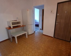 Appartement 4 chambres à louer dans Cluj-napoca, zone Plopilor